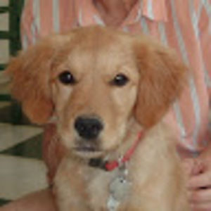 Meet your Posher, Jim and fay